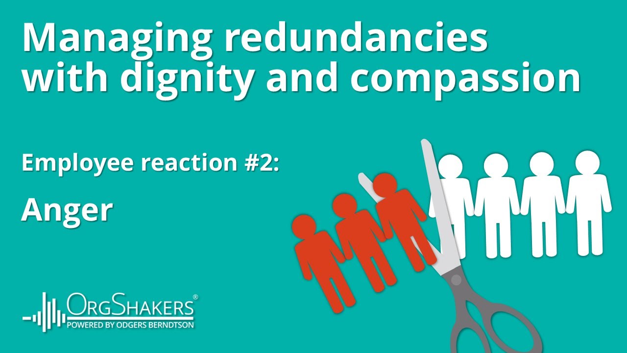 Redundancy Conversation 2