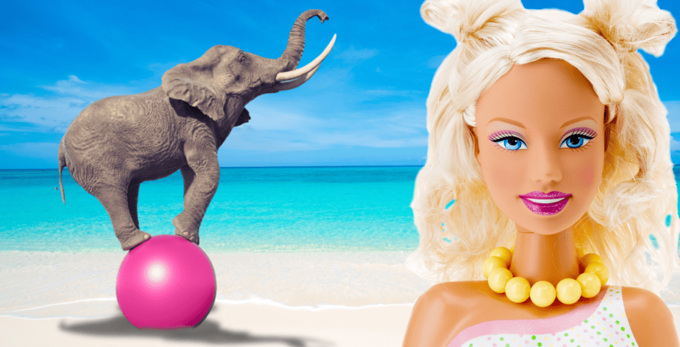 Fi Enterprise Agility Barbie