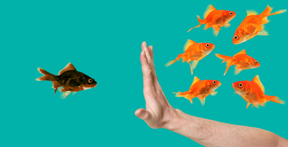 Fi Age Discrimination