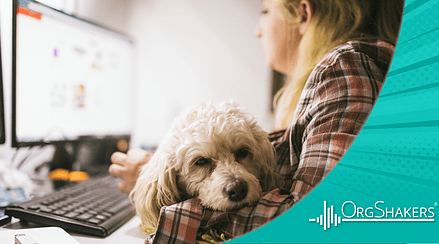 Pet Friendly Workplace